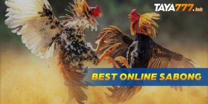 the basics of playing online sabong