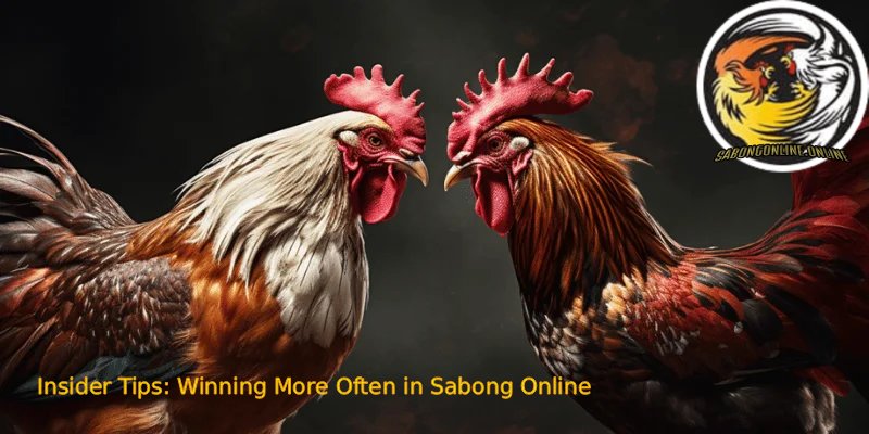Sabong Online: Play Smart, Win Big 9 Insider Tips Winning More Often in Sabong Online