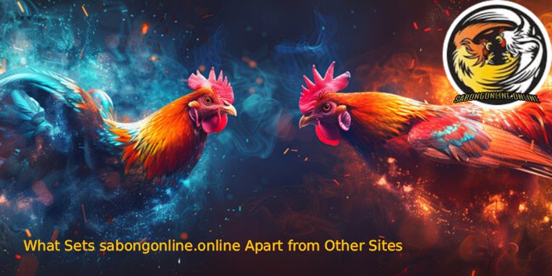 Sabong Online: Play Smart, Win Big 8 What Sets sabongonline.online Apart from Other Sites